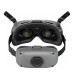  FPV очки DJI Goggles Integra