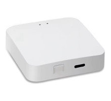  Беспроводной шлюз Bluetooth WL-WGB2..
