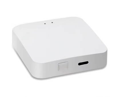  Беспроводной шлюз Bluetooth WL-WGB2